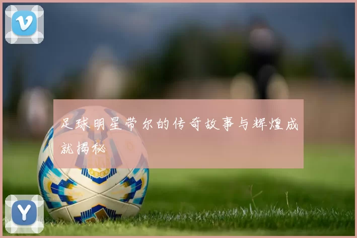 足球明星带尔的传奇故事与辉煌成就揭秘