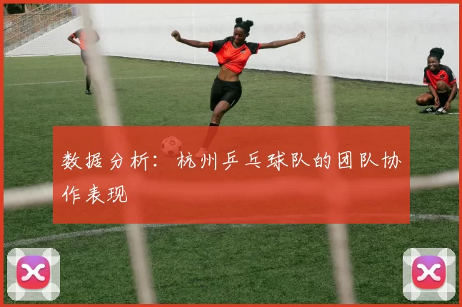 数据分析：杭州乒乓球队的团队协作表现