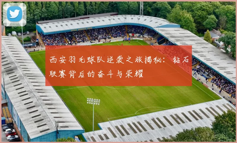 西安羽毛球队逆袭之旅揭秘：钻石联赛背后的奋斗与荣耀