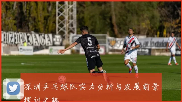 深圳乒乓球队实力分析与发展前景探讨之路