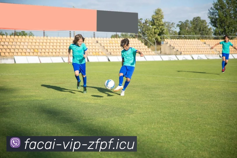 开云体育服务体系